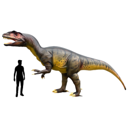 Allozaur C453b-h300x600x120cm
